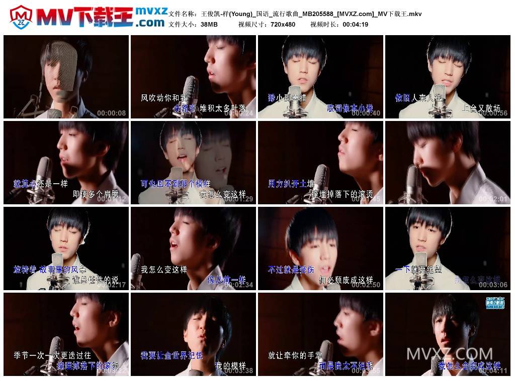 王俊凯-样(Young)_国语_流行歌曲_MB205588